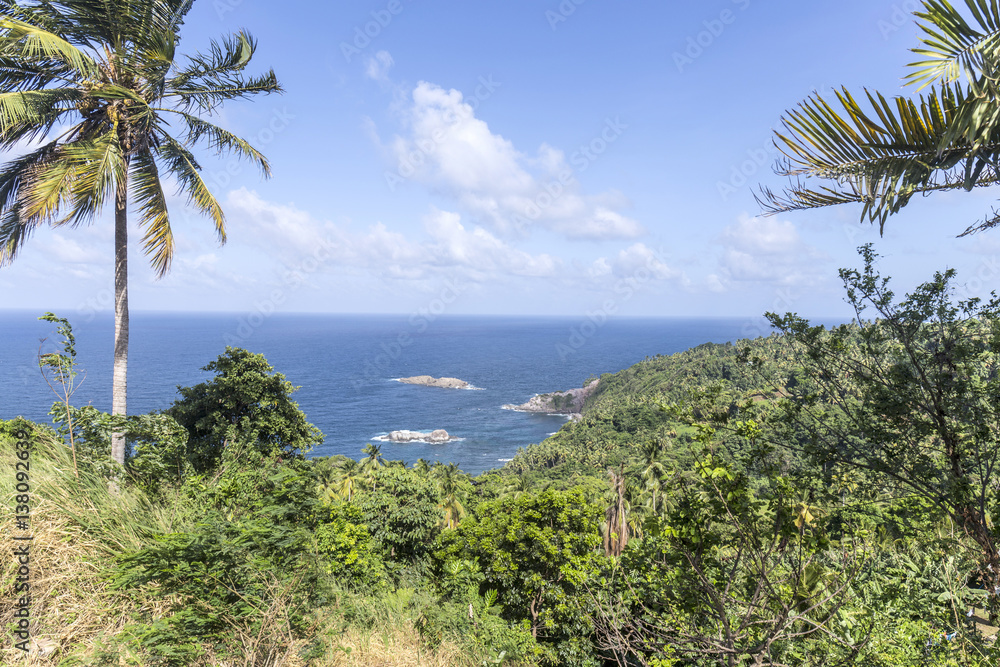 coastline with rainforest at the island of Dominica