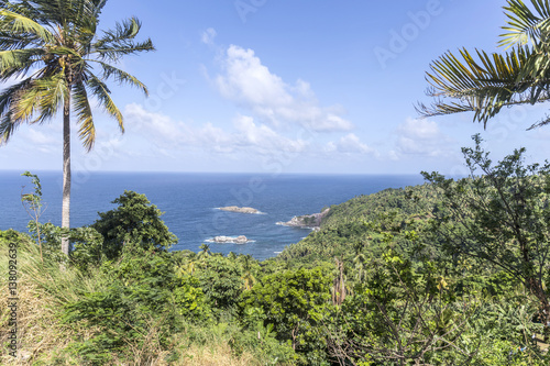 coastline with rainforest at the island of Dominica