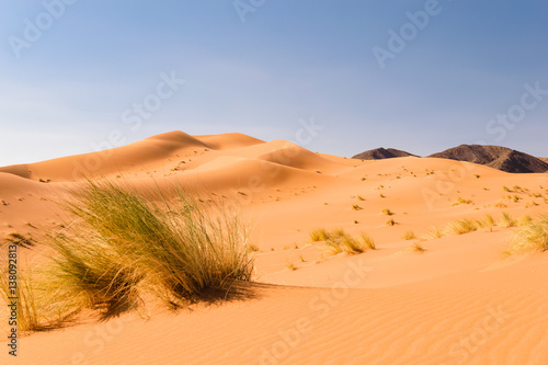 Sand dunes Ouzina  Shara desert  Morocco 