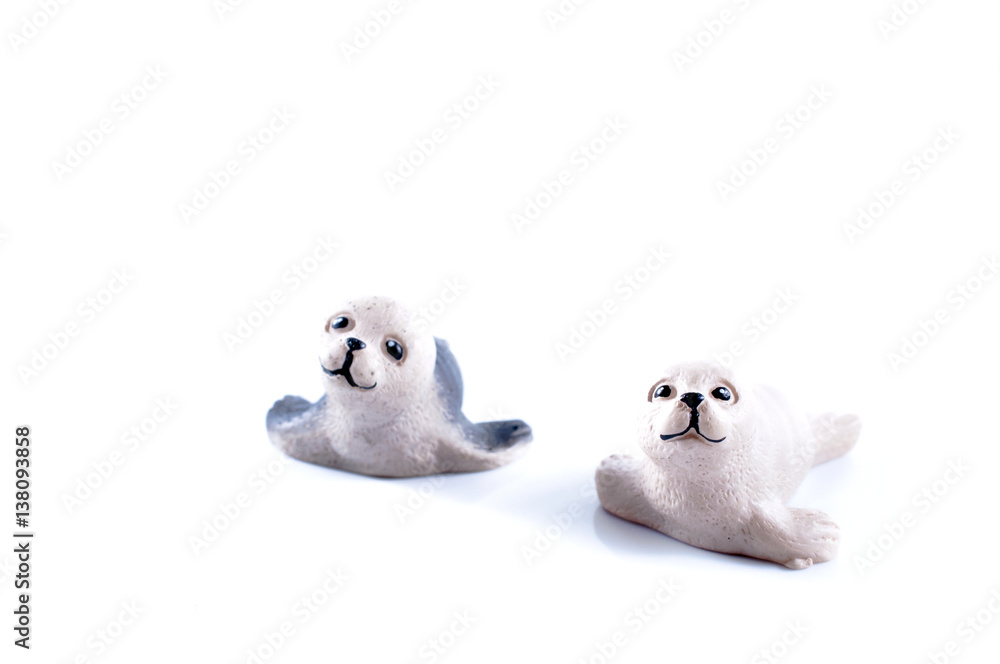 Sea lion close up on white background.. Sea lion close up on white background..