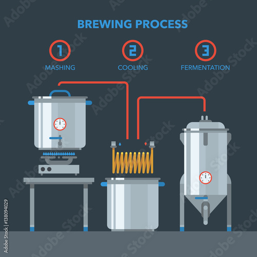 Home brewing infographic process.