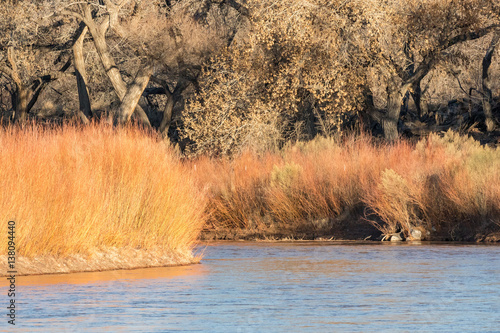 Rio Grande with coyote willow and cottonwood trees in central New Mexico