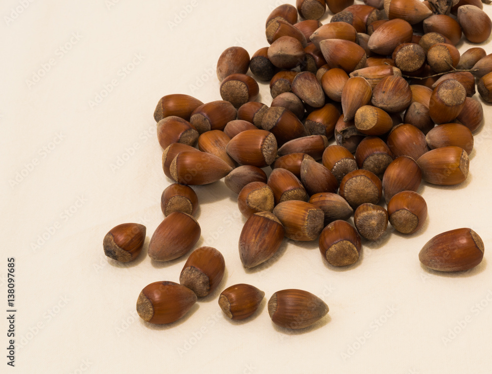 Group of raw hazelnuts on a white background Group of raw hazelnuts on a white background