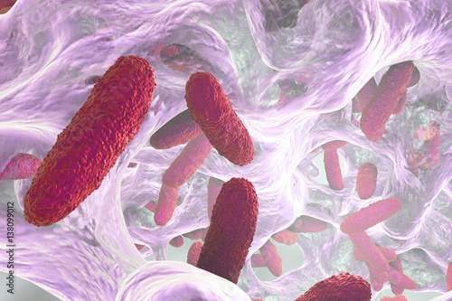 Biofilm containing bacteria Klebsiella, 3D illustration. Gram-negative rod-shaped bacteria which are often nosocomial antibiotic resistant photo