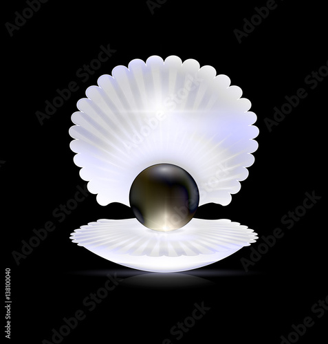 dark, black pearl and shell