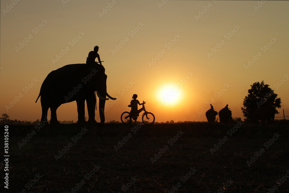 Thai people father and son with elephant silhouette sunset