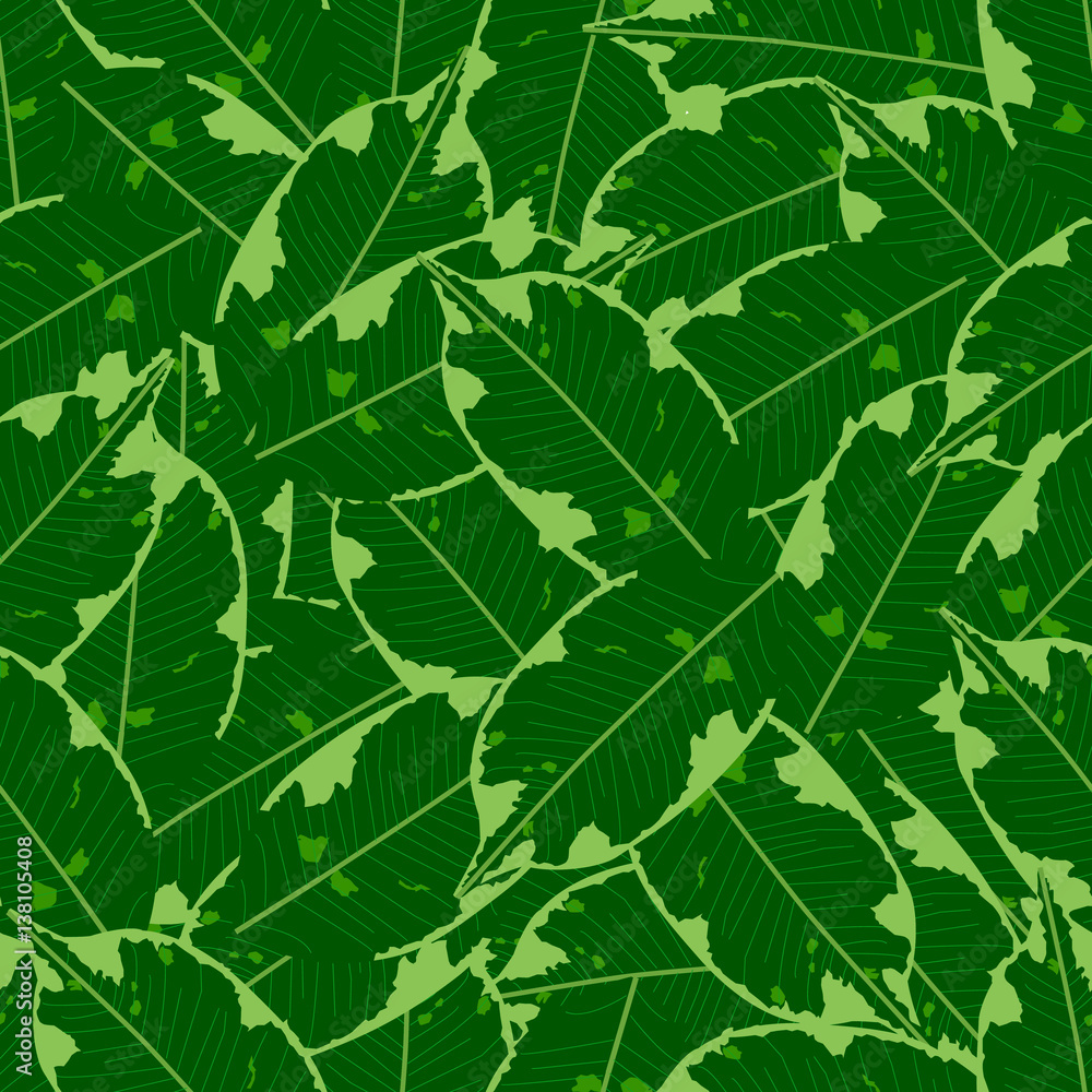 seamless foliage pattern. detailed botanical illustrations of exotic leaves ficus.