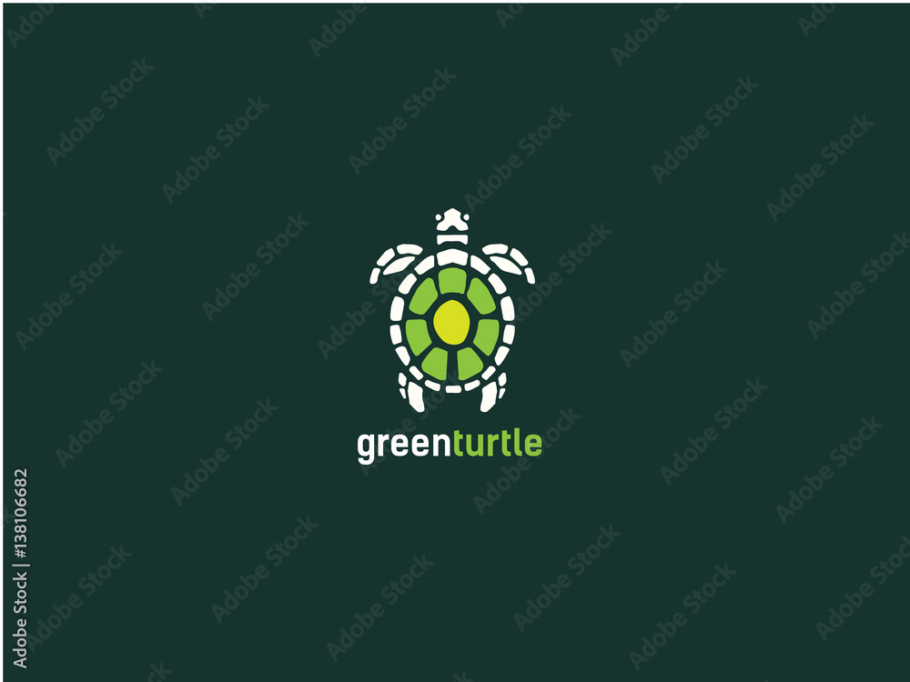 Fototapeta premium zielony żółw