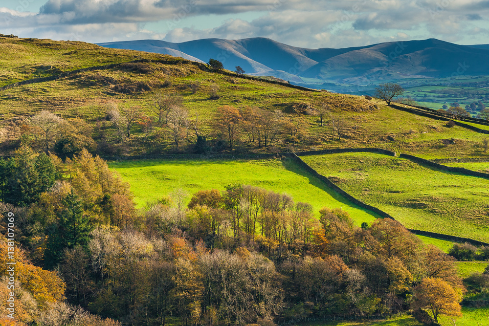 Fototapeta premium View from Orrest Head. English Lake District National Park, Cumbria, UK