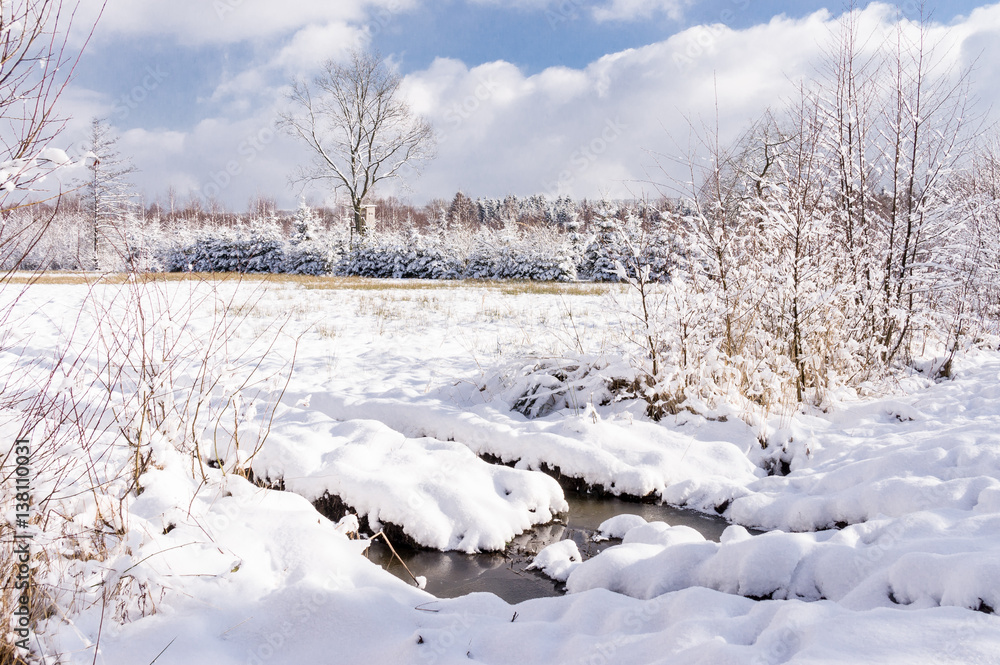 Winter forest in Raeren Belgium Winter forest in Raeren Belgium