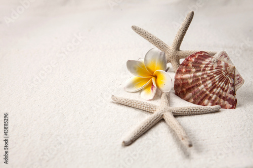 Pagoda and shells on sandy beach, Summer concept
