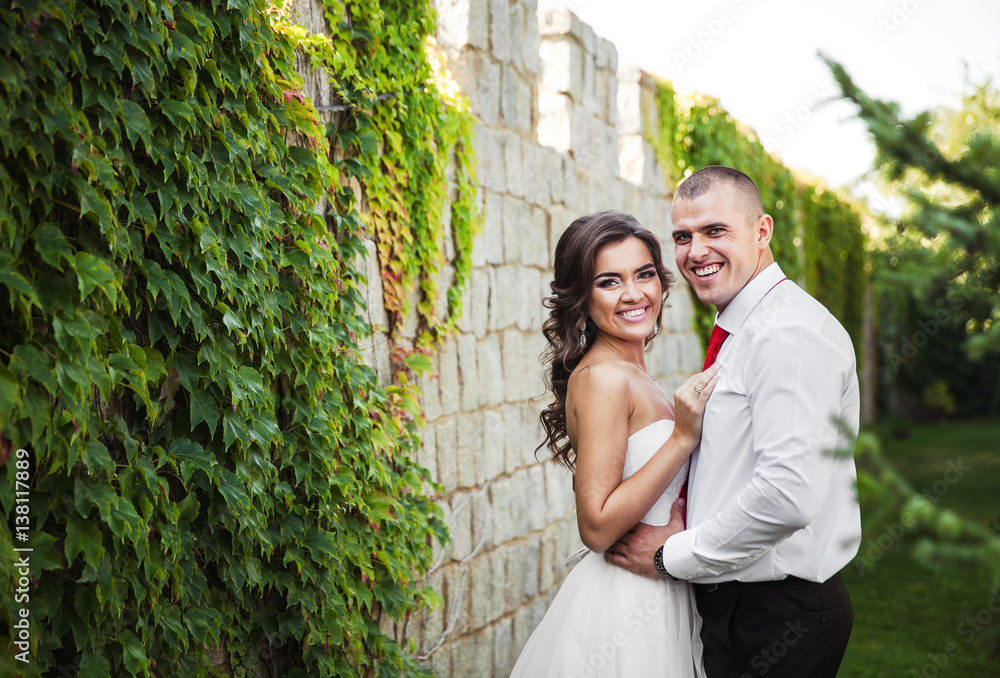 Beautiful young couple. the bride and groom on their wedding day. Are the lengthwise walls Beautiful young couple. the bride and groom on their wedding day. Are the lengthwise walls