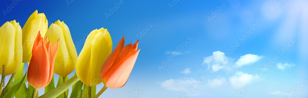 Obraz premium Frühling und Sommer Hintergrund