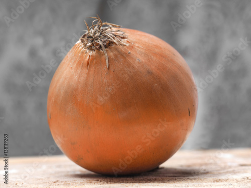 one onion closeup