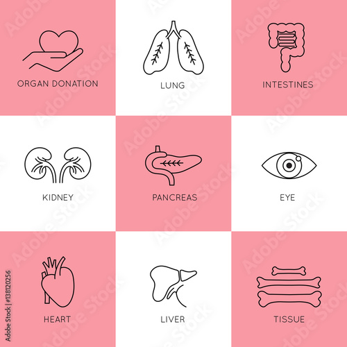 Organ Transplantation icon set