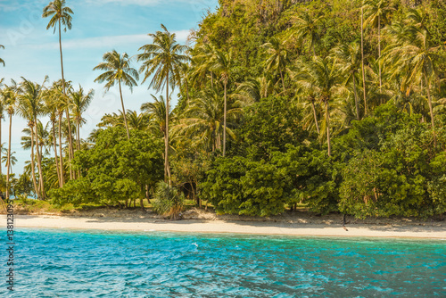 View of the wildlife nature in an island near El Nido  Palawan  Philippines