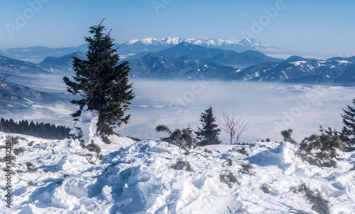 view to Tatras mountain range from Velka luka hill with isolated trees, snow and clear sky on Martinske hole in Mala Fatra mountains above Martin city in Slovakia