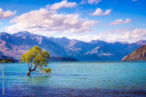 Canvastavla Landscape view of That Wanaka Tree, New Zealand