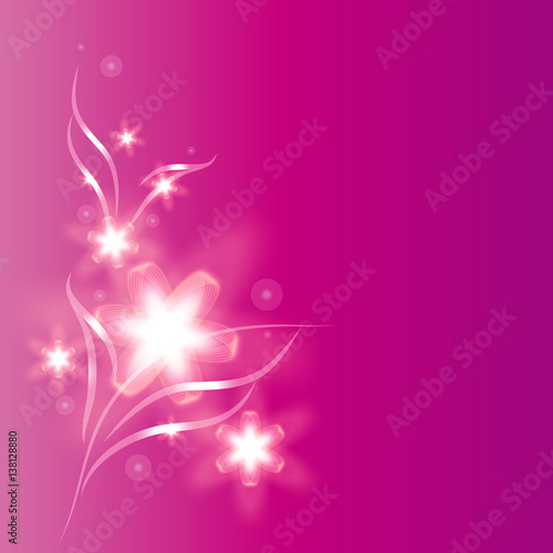 beautiful pink flowers , on a white