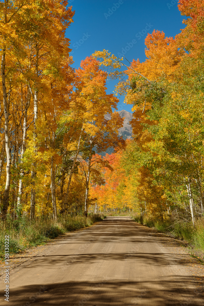 Obraz premium Golden Road