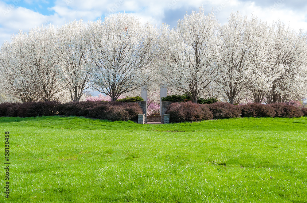 Abstract image of spring background. Cherry Blossom landscape. Spring season landscape. Nature background. Minimal design and art. Abstract image of spring background. Cherry Blossom landscape. Spring season landscape. Nature background. Minimal design and art.