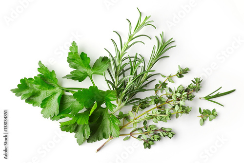 fresh green spices on white background