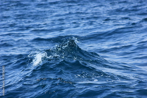 waves at sea