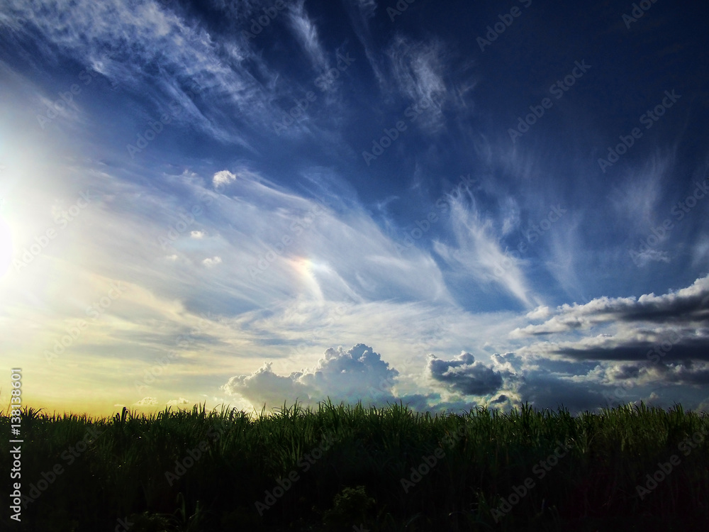 Fototapeta premium Skyscape