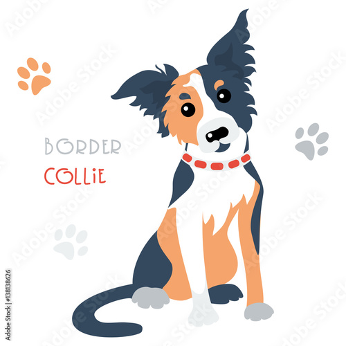 Cute funny tricoloured dog Border Collie breed vector
