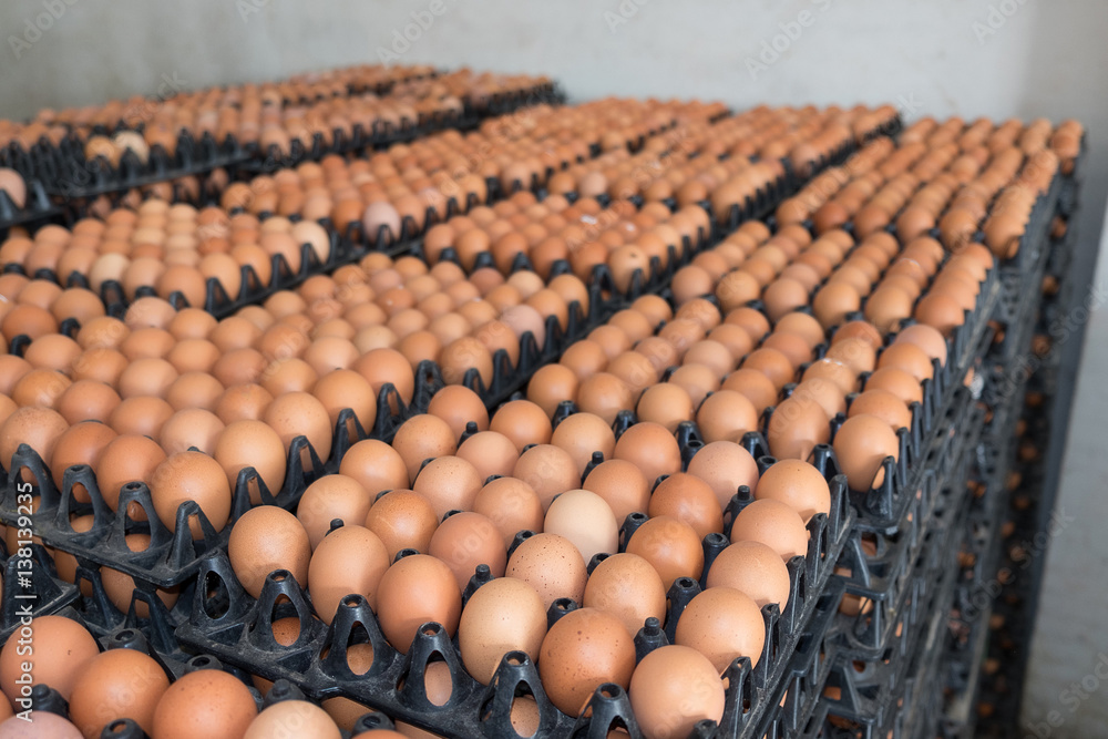 Eggs from hen farm in the package that preserved for sale in wholesale market.