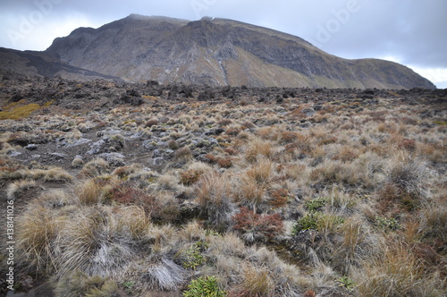 Slika na platnu Mordor below Mount Doom (Mount Ngaunuhoe) Walkway at Tongariro Alpine Crossing,