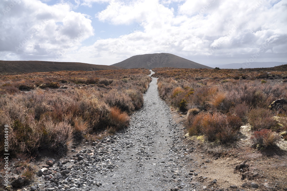 Ταπετσαρία Mordor path at Mount Doom (Mount Ngaunuhoe) Walkway at Tongariro Alpine Crossing