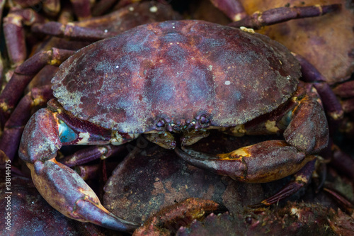 Hunted Crabs © caaaaaaarlos