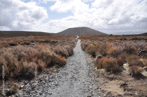 Tableau sur toile Mordor path at Mount Doom (Mount Ngaunuhoe) Walkway at Tongariro Alpine Crossing
