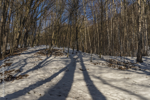 Sunny winter day near Vrabinec hill © luzkovyvagon.cz