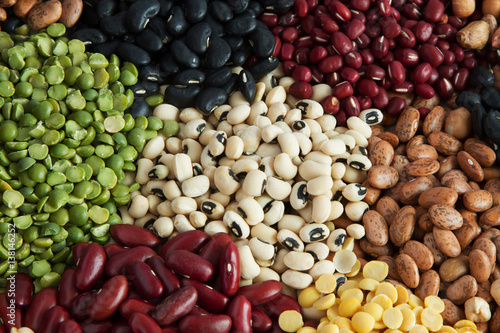 Bean seeds top view