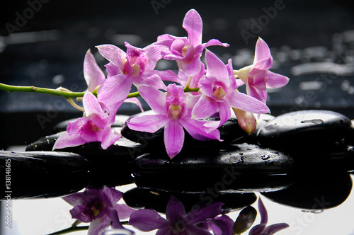 Branch orchid with therapy stones 