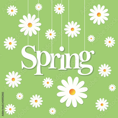 Fototapeta Naklejka Na Ścianę i Meble -  Spring word paper cut on green background. 