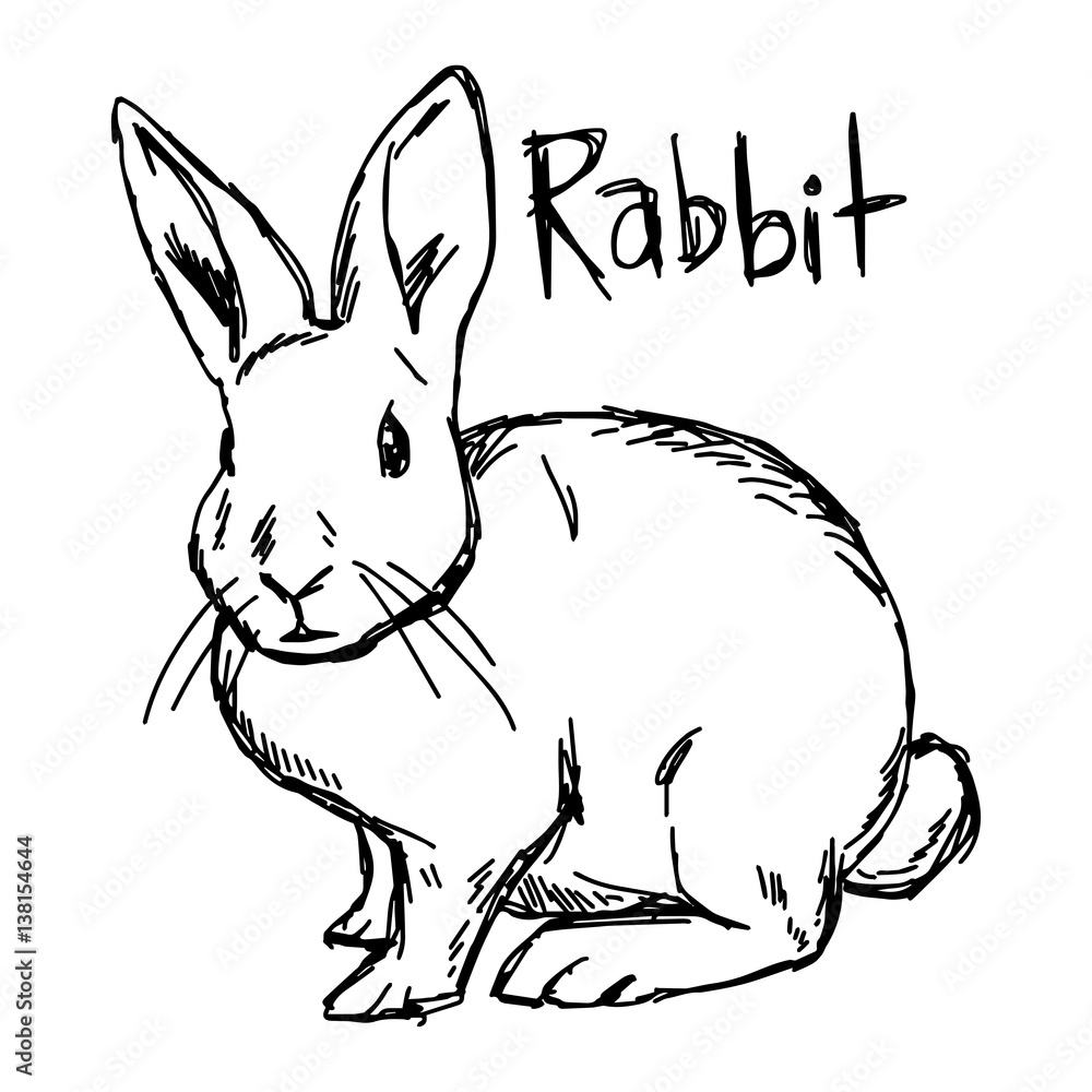 Naklejka premium rabbit - vector illustration sketch hand drawn with black lines, isolated on white background