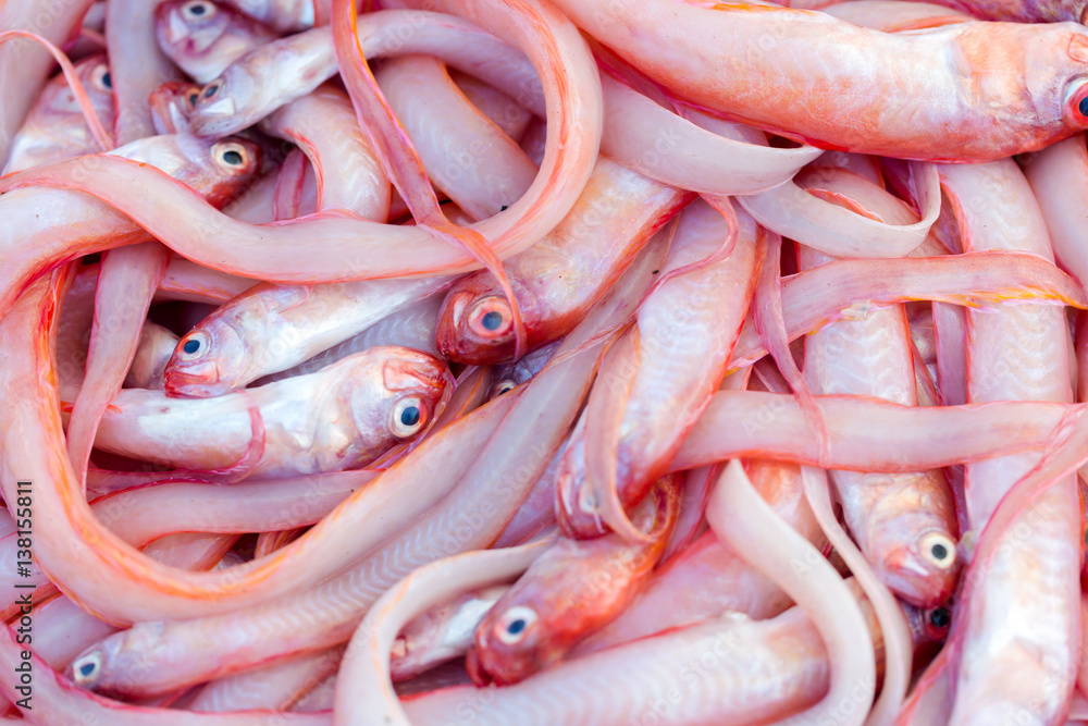 Fresh fishes and other seafood on market in Morocco ready for sell Fresh fishes and other seafood on market in Morocco ready for sell