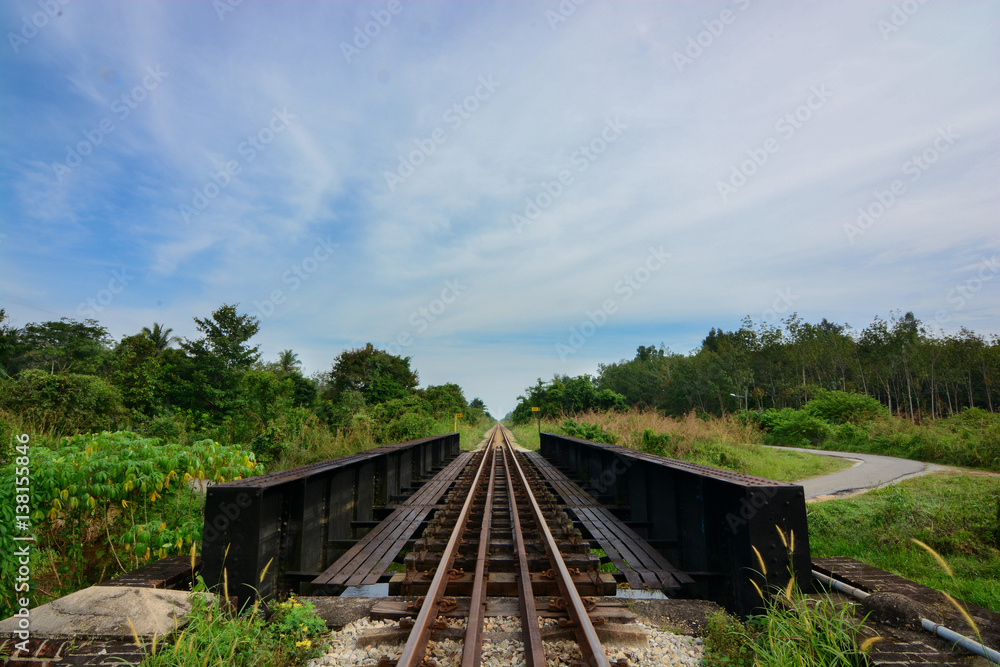 Fototapeta premium A railroad in a countryside with a green trees view.