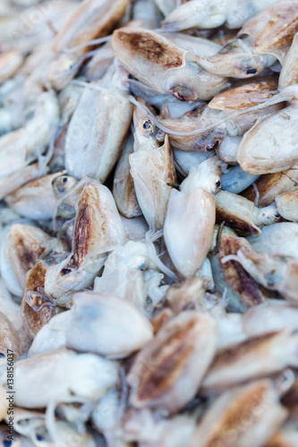 Fresh squids on market in Morocco ready for sell