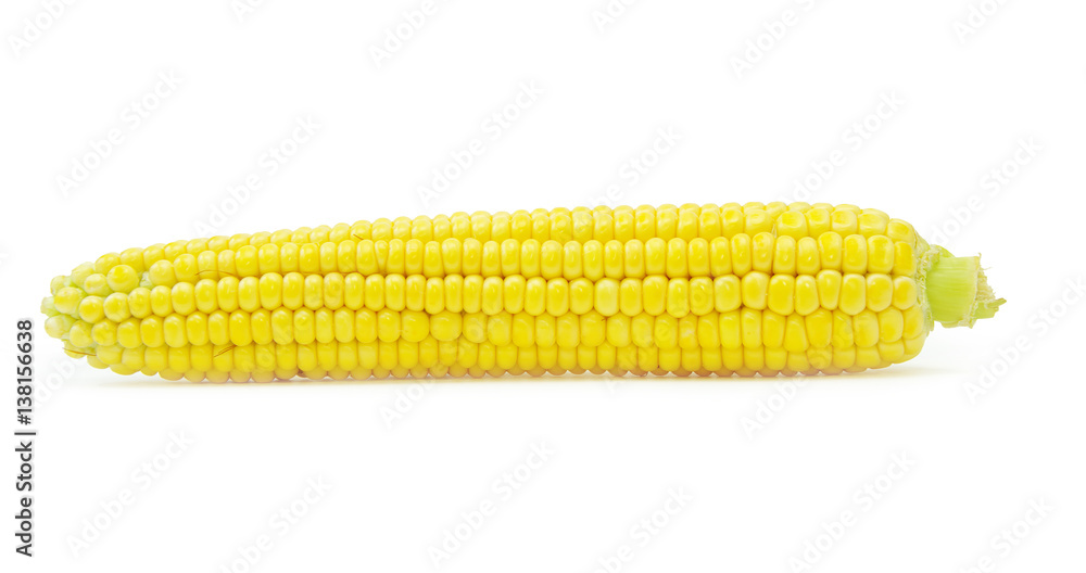 maize maize