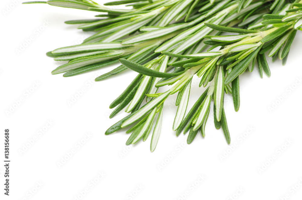 rosemary rosemary
