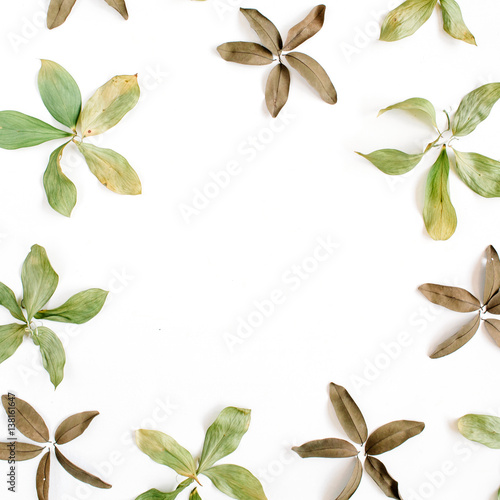 Frame of flowers, branches, leaves and petals on white background. Flat lay, top view pattern