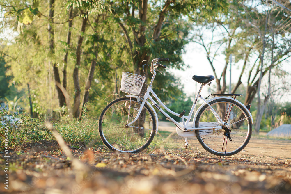 Vintage style bicycle at fall season road in Asian country.