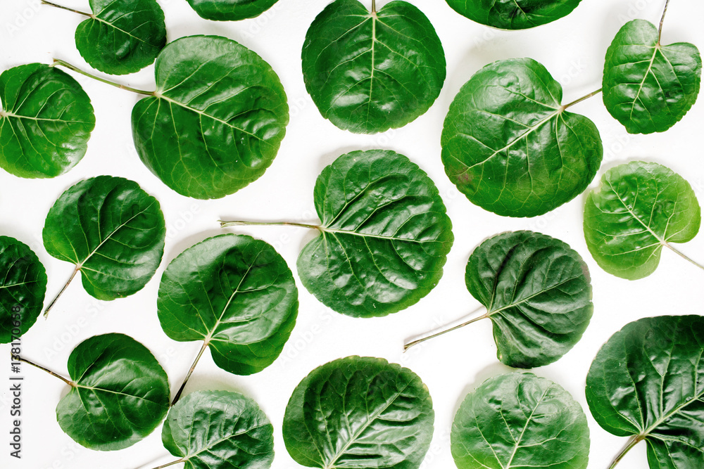 Floral pattern made of green leaves, branches on white background. Flat lay, top view. Leaf pattern texture. Floral pattern made of green leaves, branches on white background. Flat lay, top view. Leaf pattern texture.