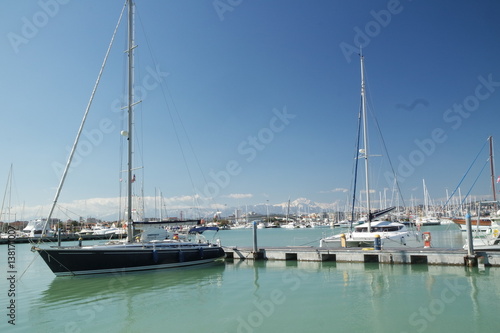 beautiful sailboats in the port