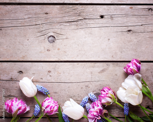 Fototapeta Naklejka Na Ścianę i Meble -  Border from violet and white tulips and muscaries flowers on aged wooden  background.