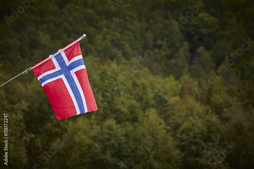 Norwegian flag with green forest landscape background. Norway symbol. photo